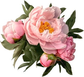 Decoración Floral